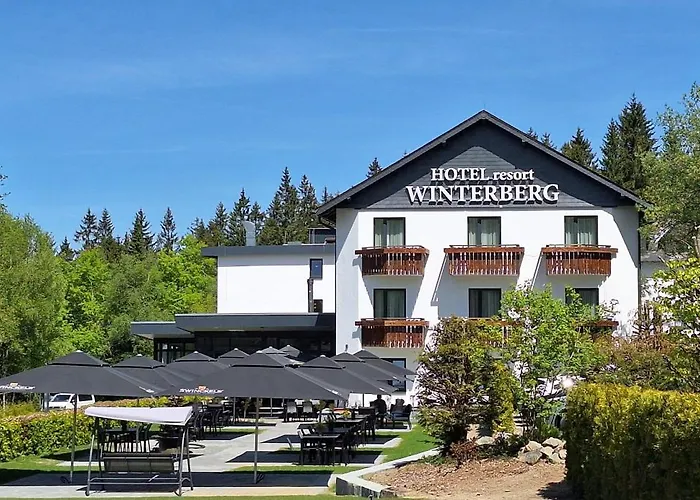 Hotel Winterberg Resort